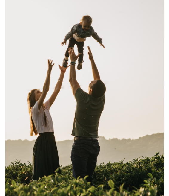 Sua Vida Financeira Resolvida
